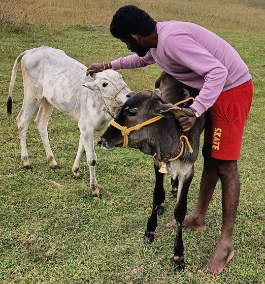 Moukthi Navachetana Goshala,Best goshala in mulbagal,Best gaushala in mulbagal,Best desi cow goshala in mulbagal,Gaushala donation for cow in mulbagal,dontation for cow in mulbagal,good goshala near me to donate,best goshala near me kolar,best goshala near me bangalore,moukthi goshala,gaushala,goshala,mulbagal,bangalore,kolar,karnataka.